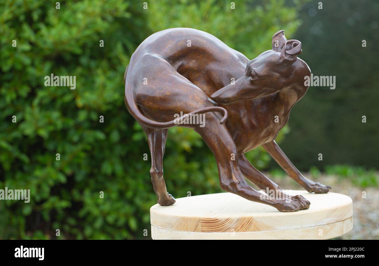 Garden Design Arts, Sculpture and Horticultural Vision Closeup of a