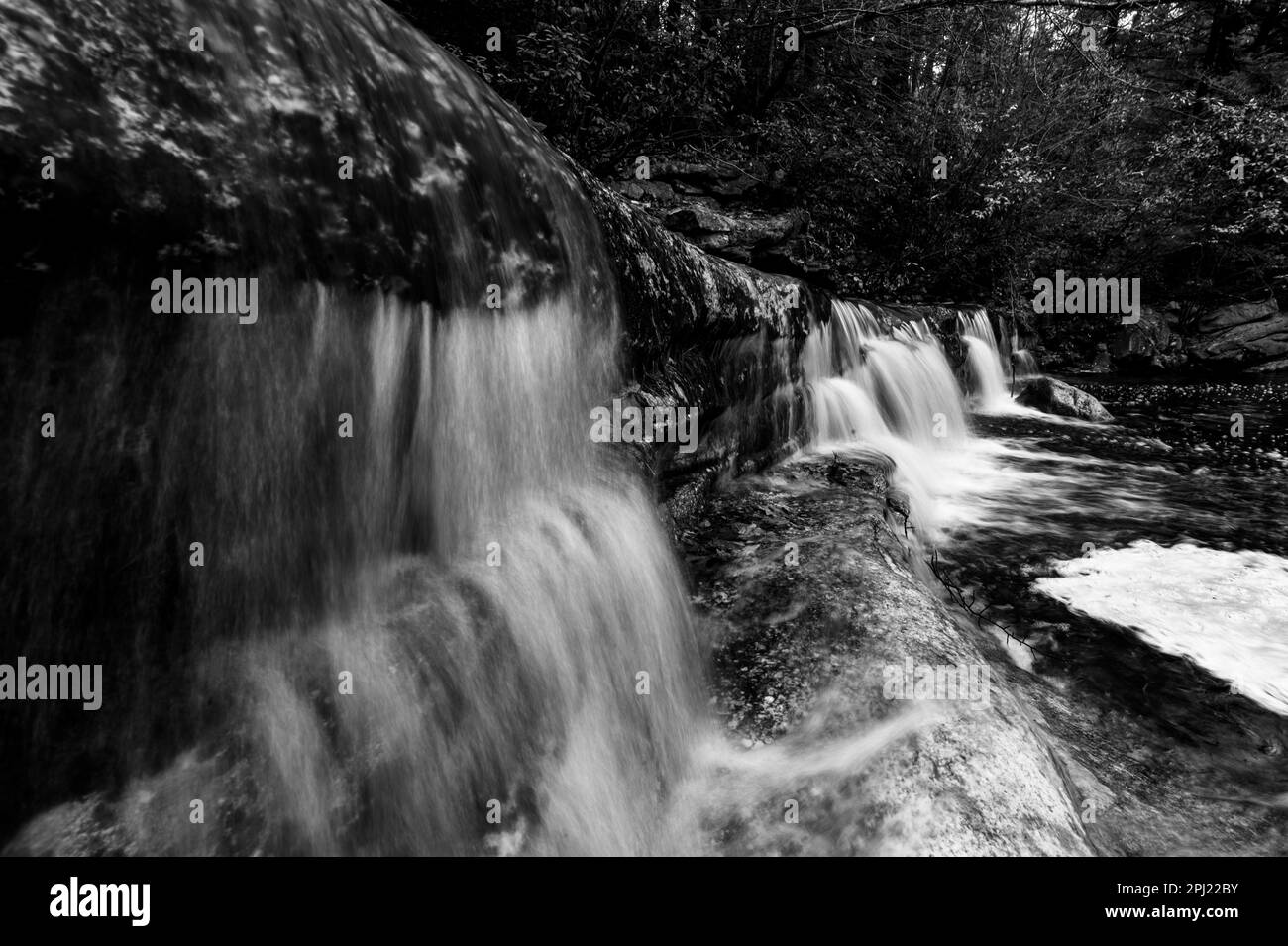 A majestic waterfall cascading over a large boulder in a lush green