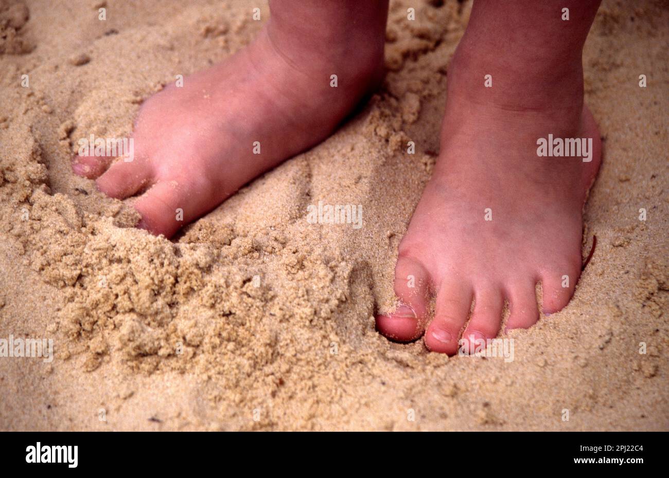 Close Up f A Woman's Feet standing on Beach with Sand Between Toes