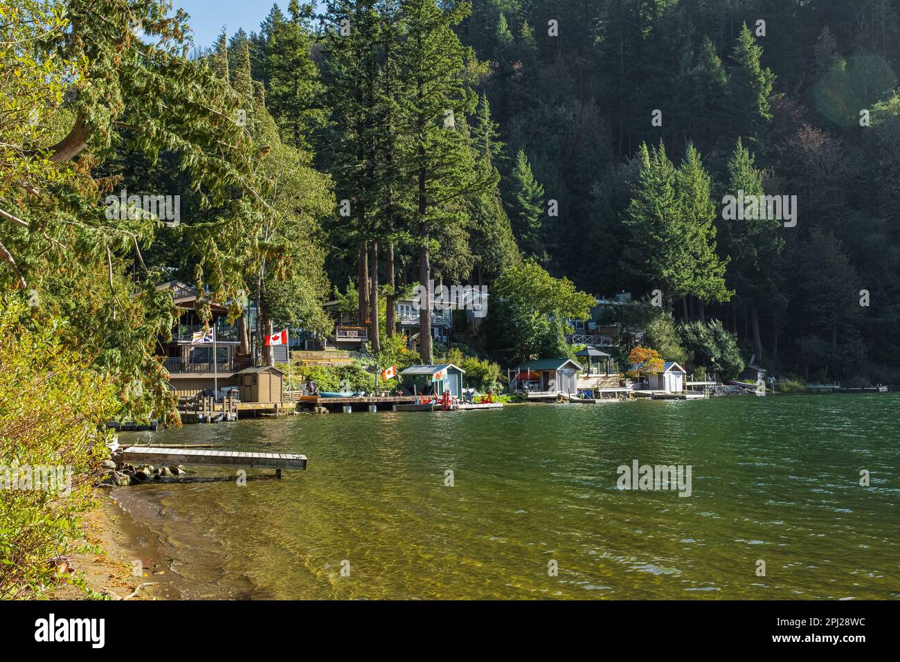 Houses on the shore of forest lake in British Columbia. Wooden houses
