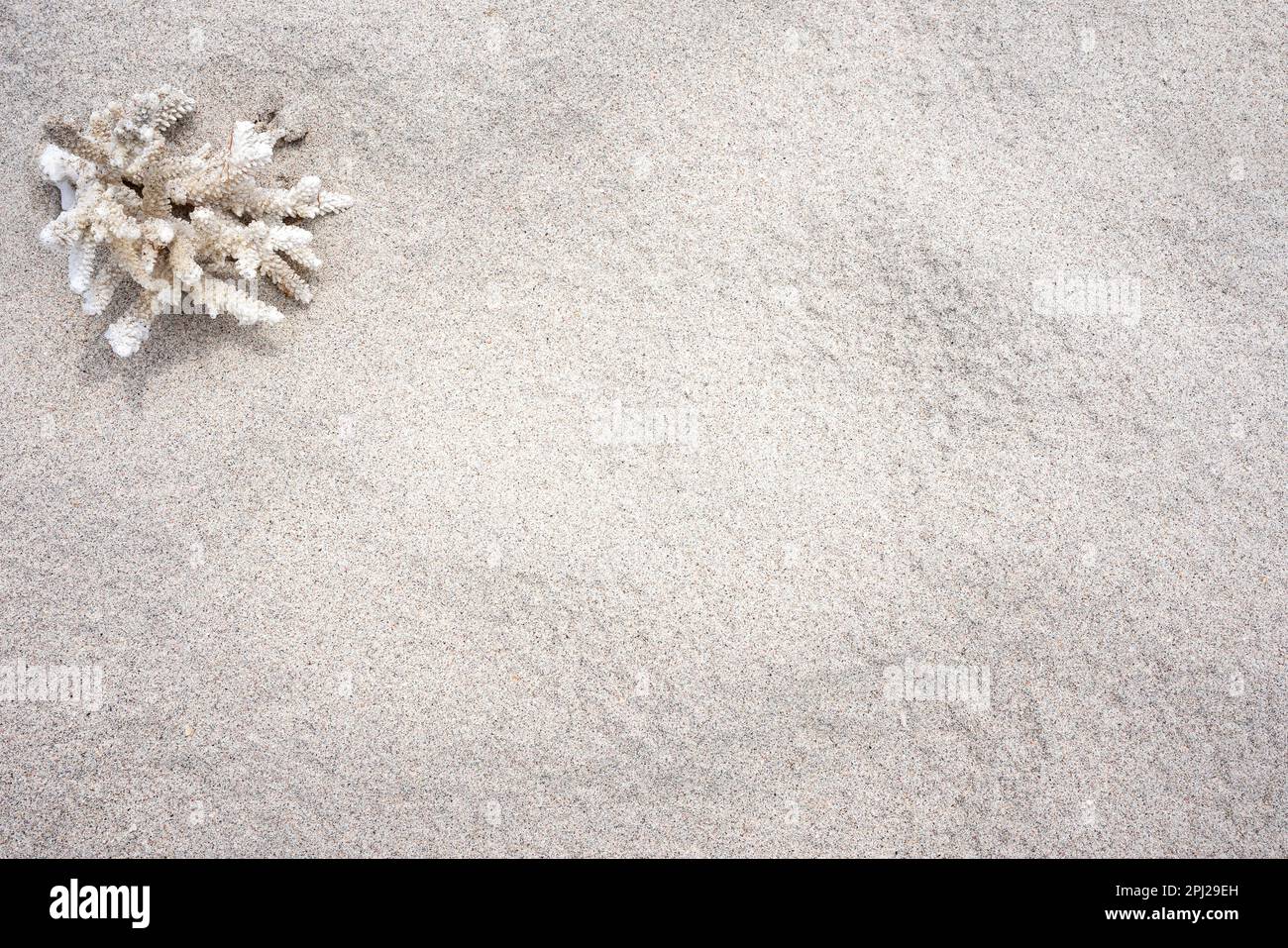 Table top motif of a beach with a coral in the upper left corner as a decorative element. Fine sand texture. Stock Photo