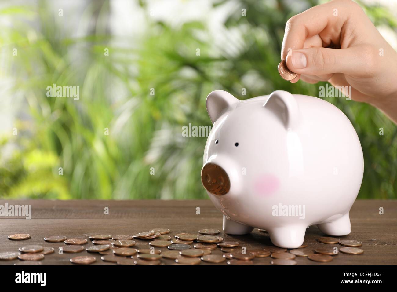Woman putting coin into piggy bank at wooden table against blurred ...