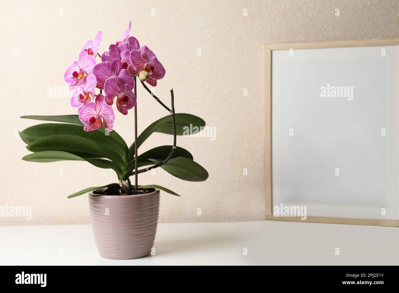 Beautiful pink orchid flower and empty frame on white table, space for text Stock Photo