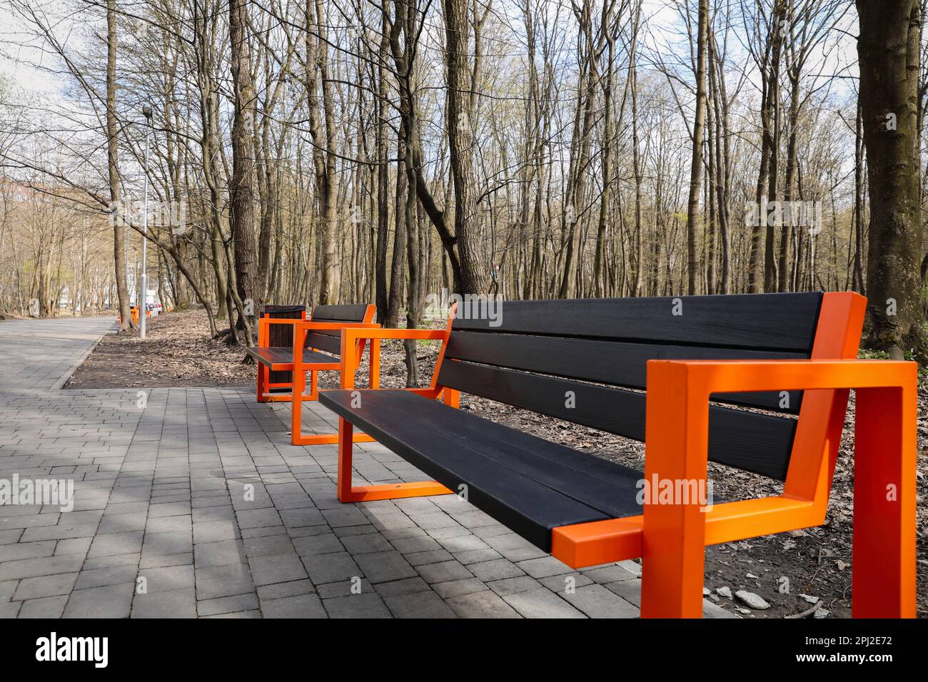 Empty wooden benches and trash bin in city park Stock Photo Alamy