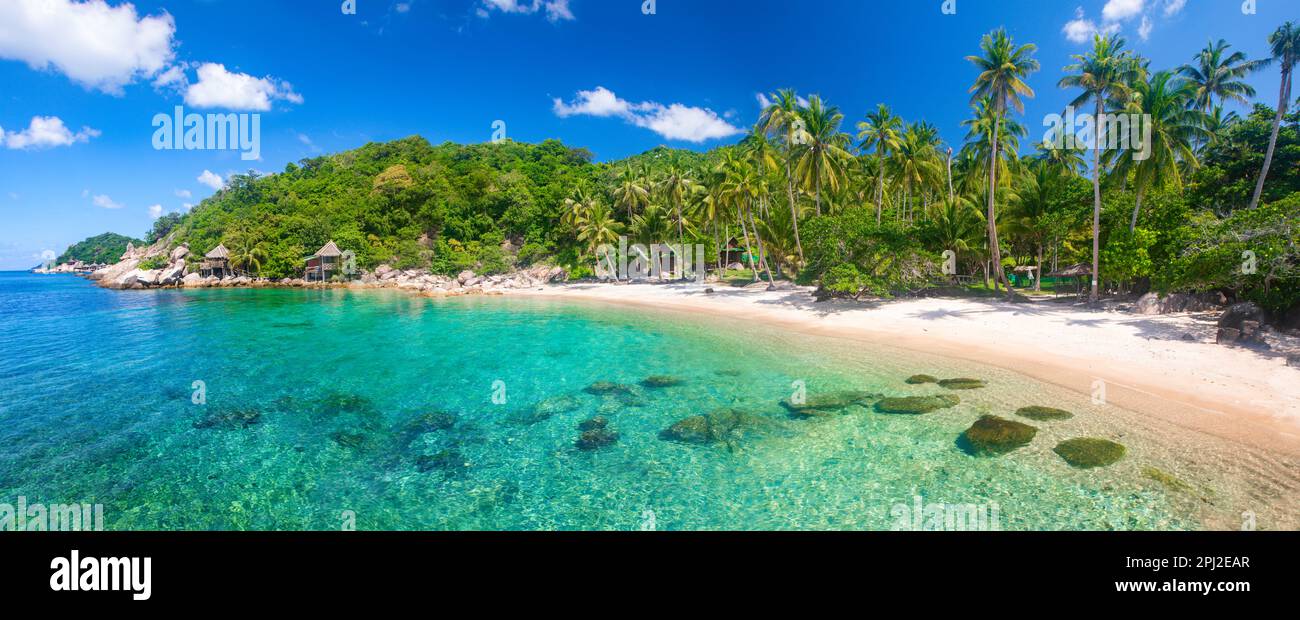 Panorama of tropical beach with coconut palm tree Stock Photo - Alamy