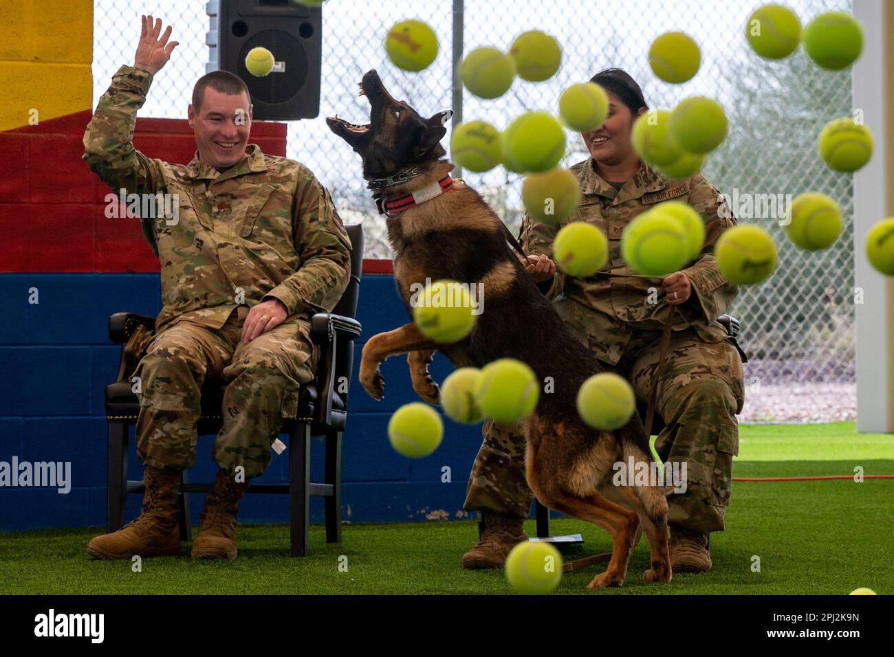 Tucson, Arizona, USA. 20th Mar, 2023. U.S. Air Force Airmen throw tennis balls during a military working dog retirement at Davis-Monthan Air Force Base, Ariz., March 20, 2023. Airmen accompanied MWD Caro during his retirement to recognize his distinguished service for nine years to the USA Air Force. Credit: U.S. Air Force/ZUMA Press Wire Service/ZUMAPRESS.com/Alamy Live News Stock Photo