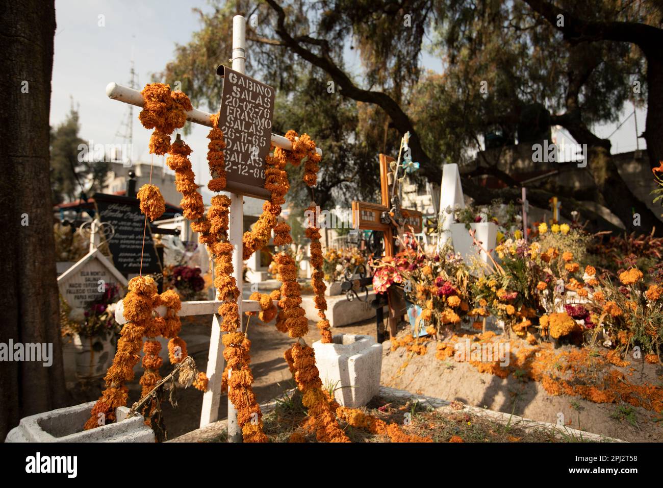 Ecatepec de Morelos, Mexico - November 19, 2022: Morning light shines on a municipal cemetery following Día de los Muertos celebrations. Stock Photo