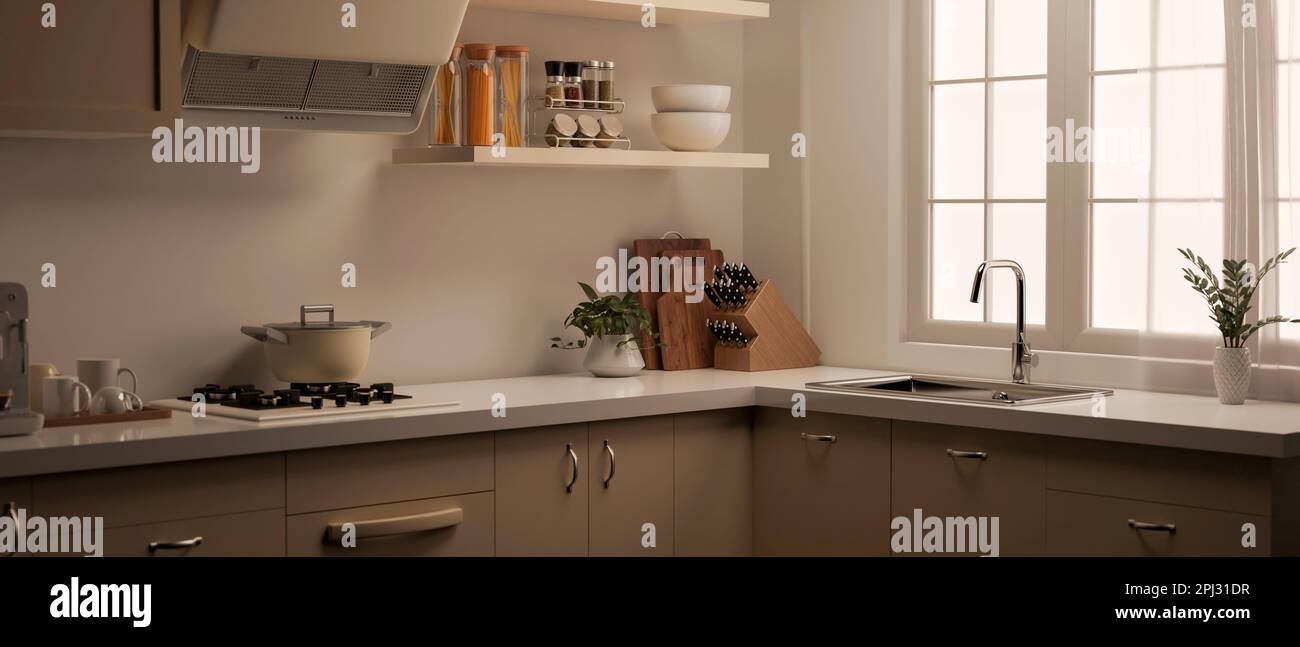 Modern contemporary kitchen interior design with kitchen counter, cabinet,  sink, stove, cooker hood, and kitchen appliances. 3d render, 3d illustratio  Stock Photo - Alamy