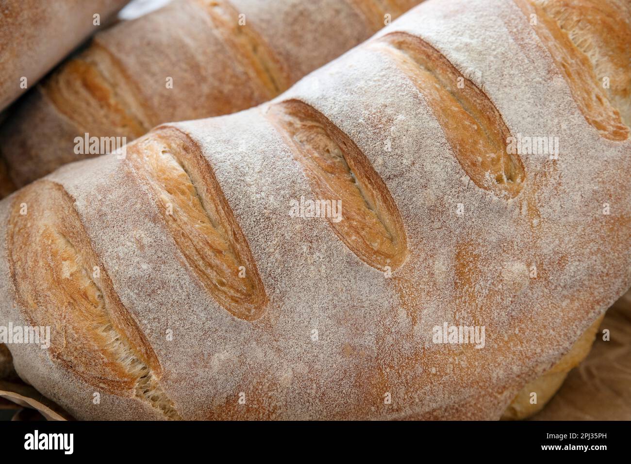 Close-up of a freshly baked sourdough bread showing a healthy golden crust, artisanal loaves leavened through a natural fermentation process Stock Photo