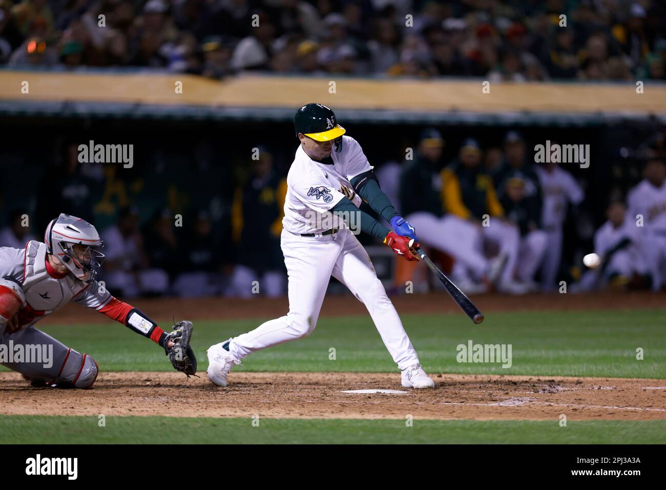 Oakland Athletics shortstop Aledmys Diaz barehands a ball hit by Cleveland  Guardians' Andres Gimenez during the second inning of a baseball game,  Thursday, June 22, 2023, in Cleveland. (AP Photo/David Dermer Stock