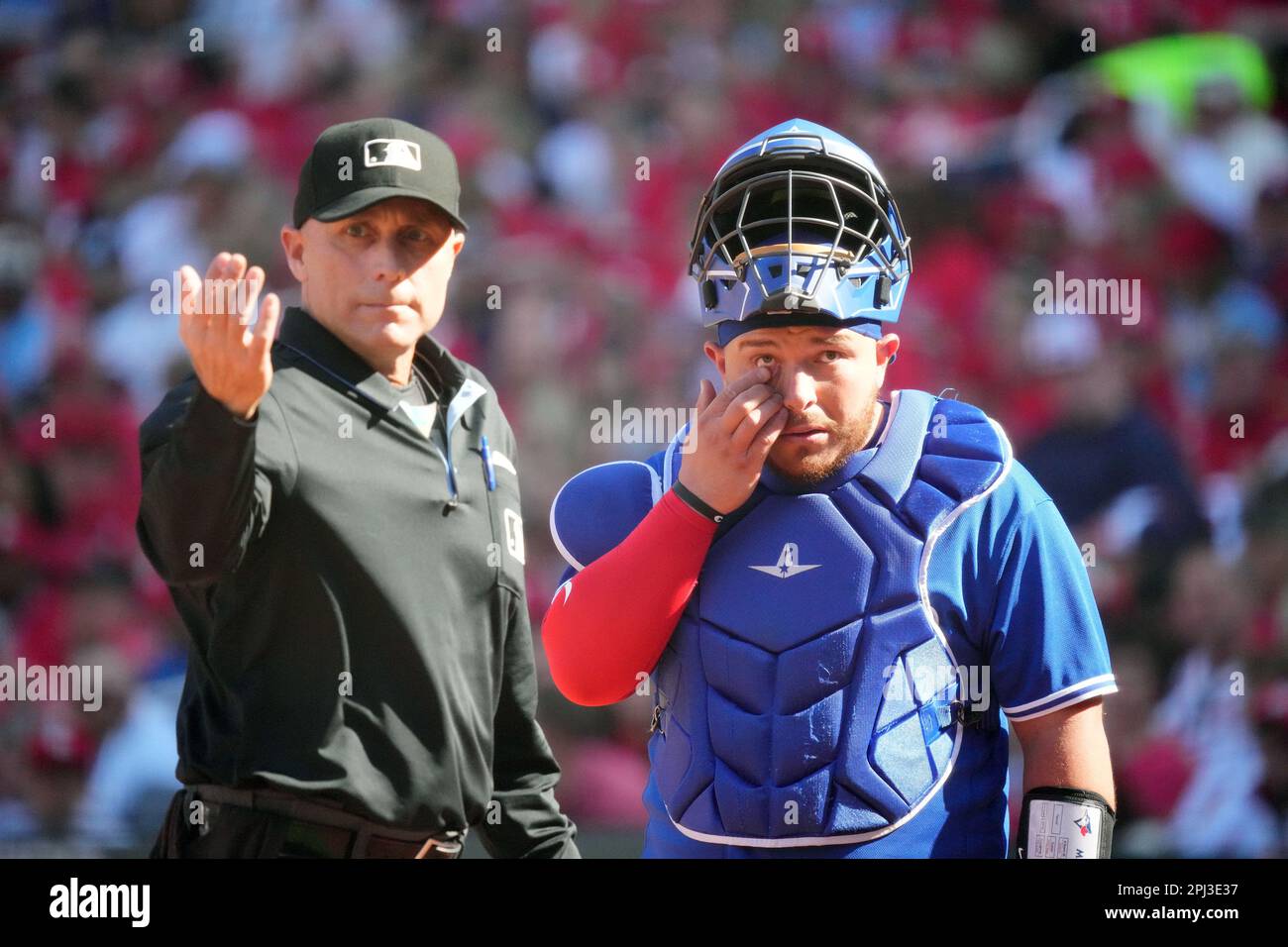 Home plate umpire Dan Iassogna calls for assistance for Toronto Blue Jays catcher Alejandro Kirk for dirt in the eye during the second inning against the St. Louis Cardinals at Busch Stadium in St. Louis on Thursday, March 30, 2023. Photo by Bill Greenblatt/UPI Stock Photo