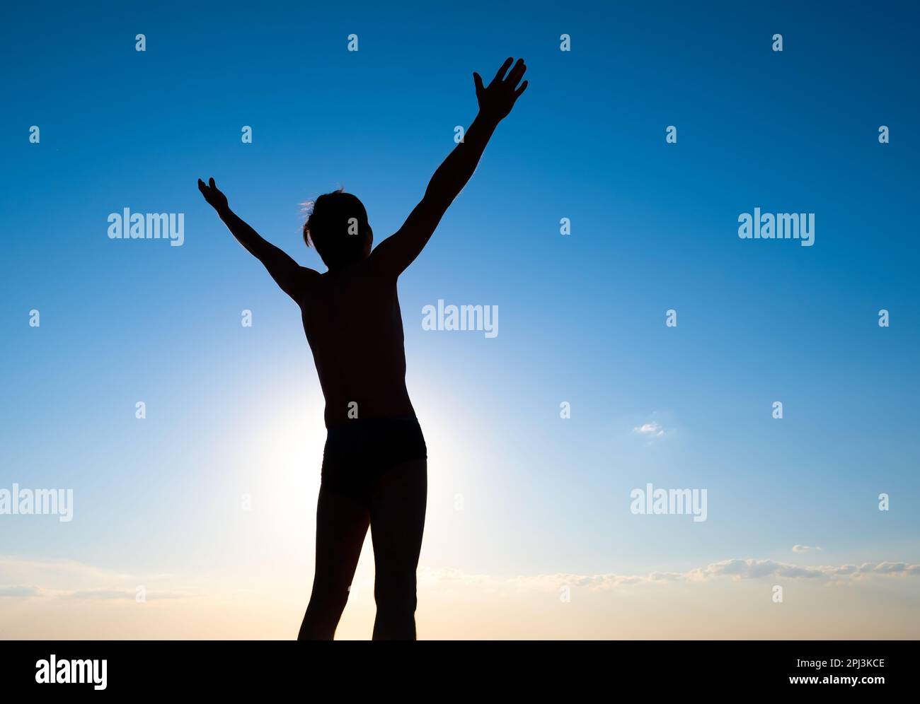 Happy Man Silhouette with Hands Up on the Sky Background Rear View ...