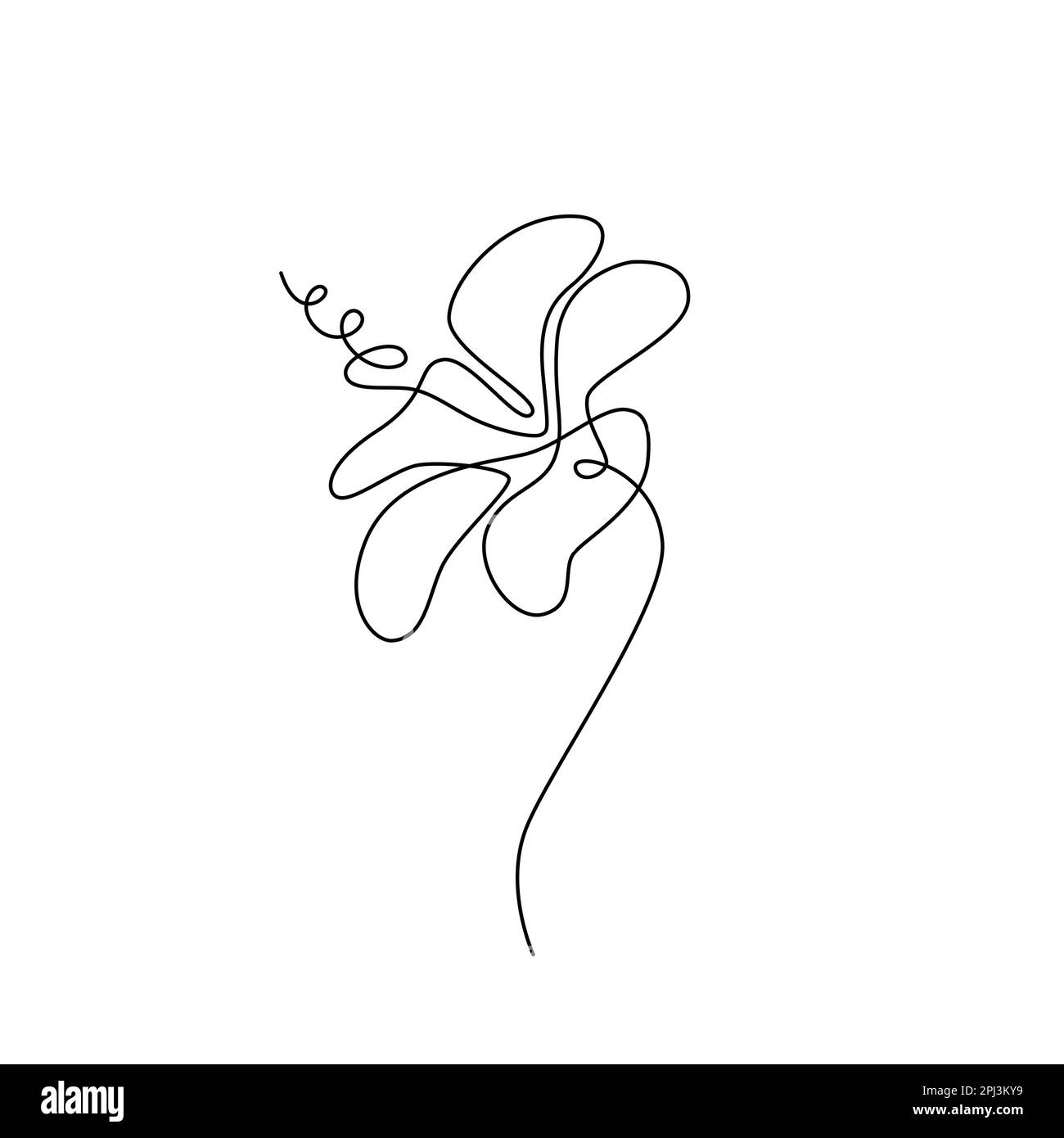 HIBISCUS LINE ART. Vector flower. Continuous Line Drawing Vector for ...