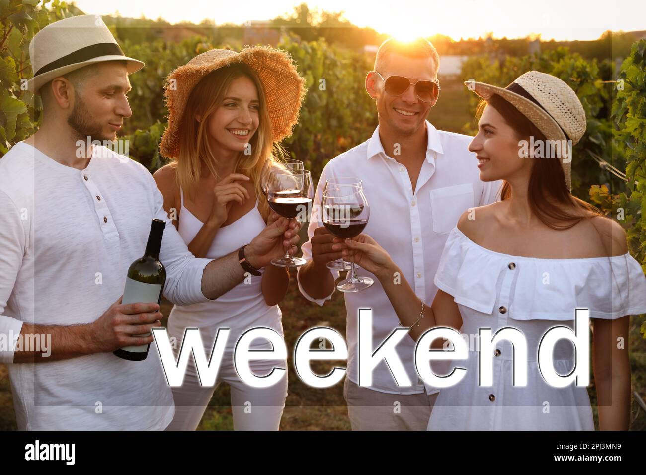 Hello Weekend. Friends clinking glasses of red wine in vineyard on sunny day Stock Photo