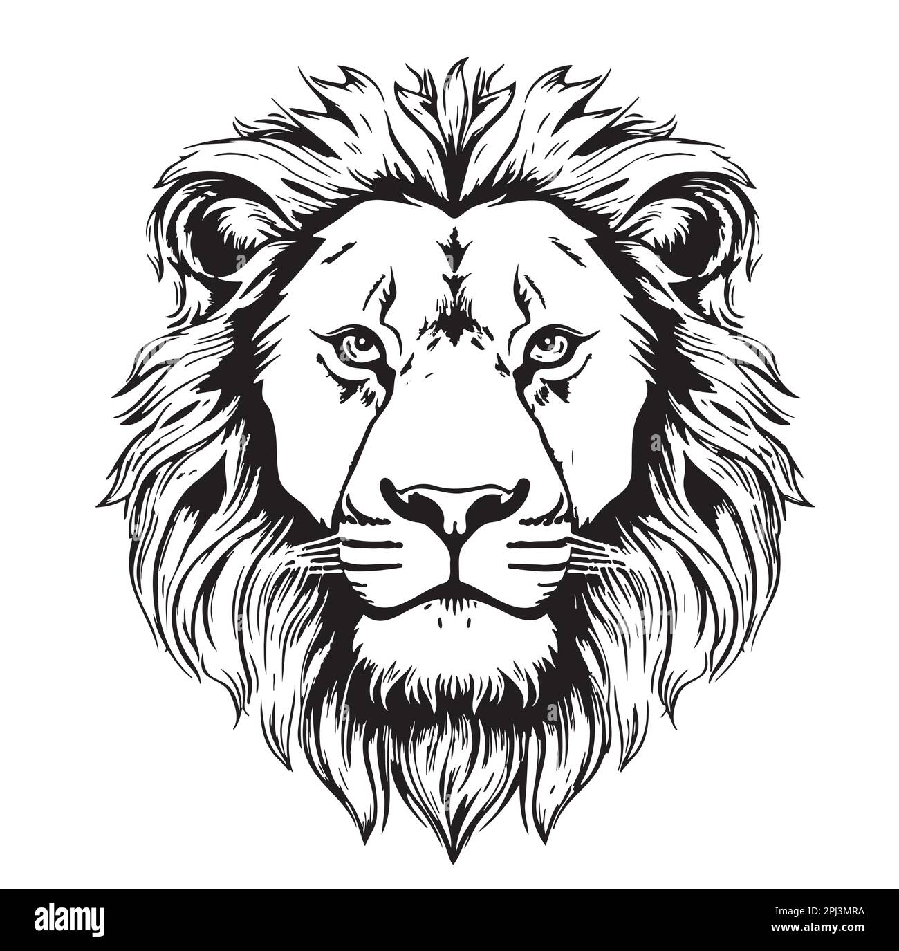 Lion Sketch Wild Vector & Photo (Free Trial) | Bigstock-gemektower.com.vn