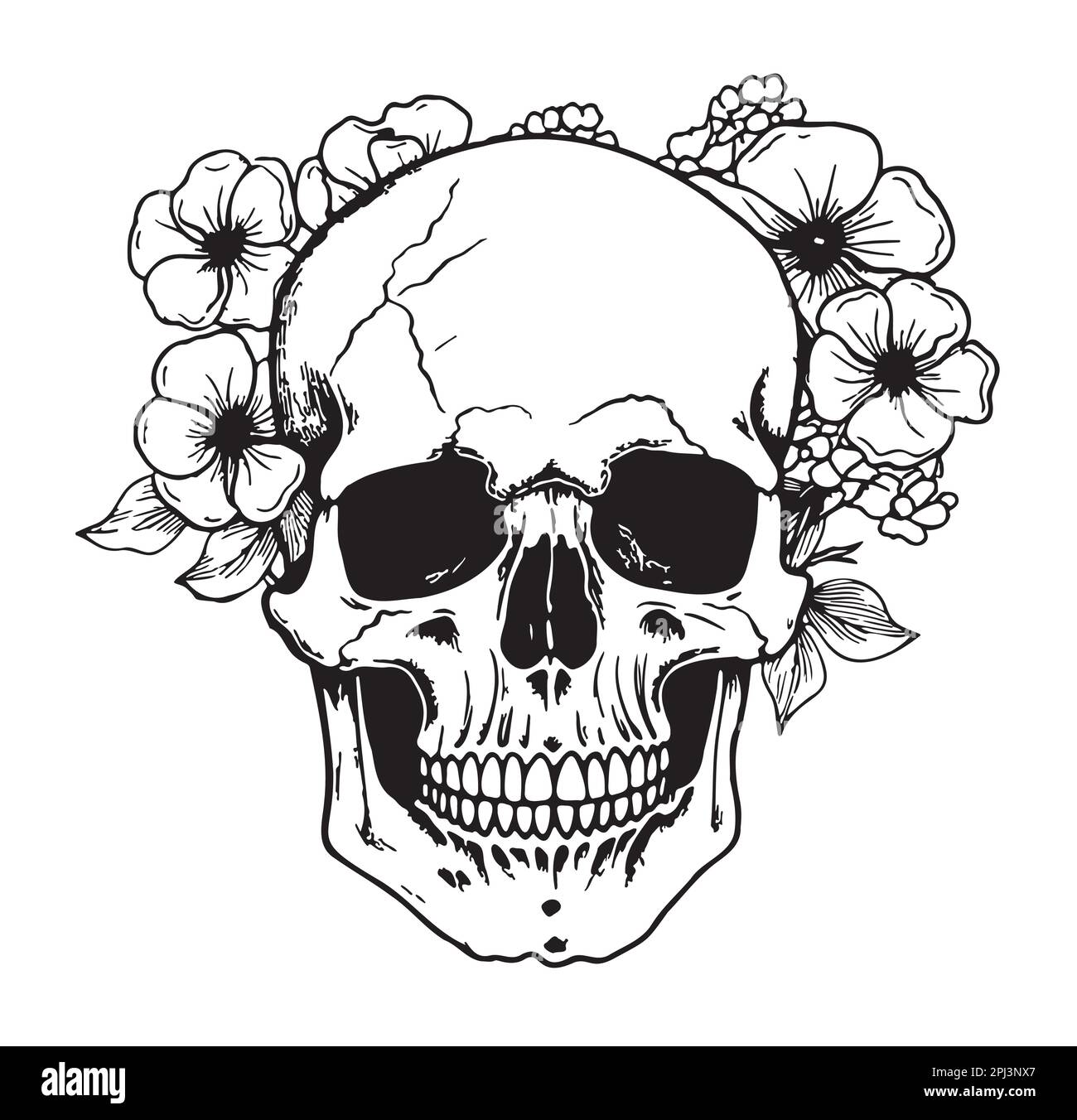 Skull with flowers hand drawn sketch illustration Stock Vector Image