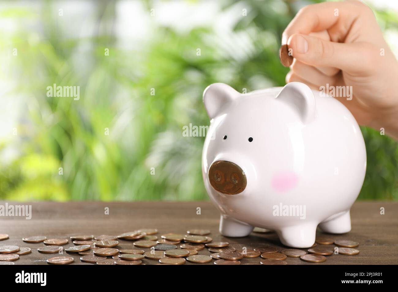 Woman putting coin into piggy bank at wooden table against blurred ...