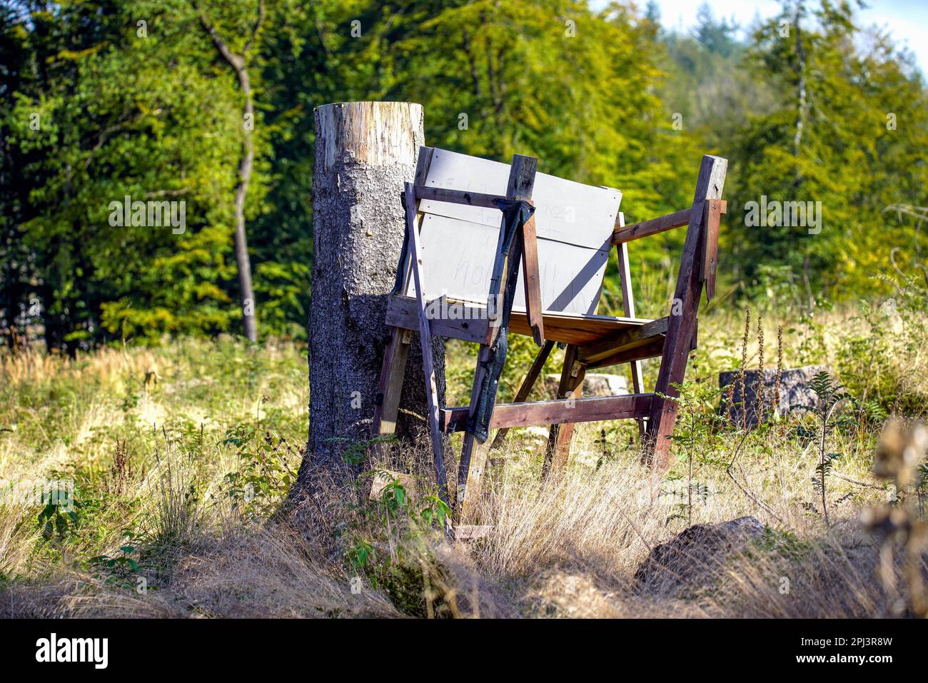 Teutoburger Wald / Eggegebirge Stock Photo