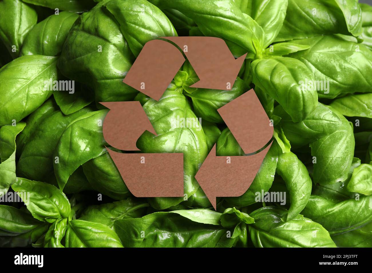 Recycling symbol cut out of kraft paper and fresh green leaves on ...