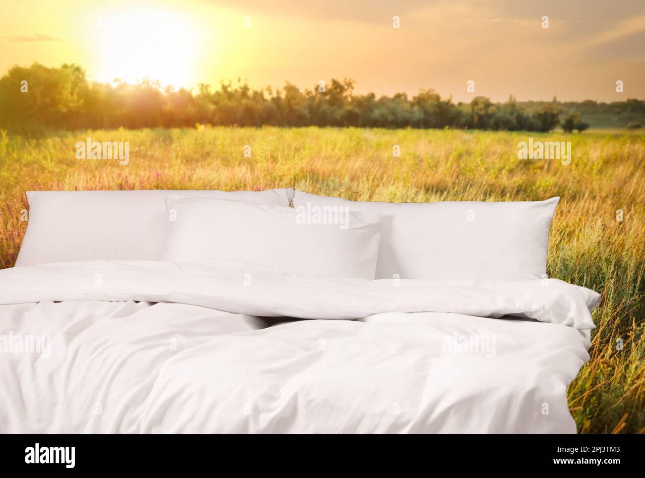 Comfortable bed with soft pillows in field at sunset Stock Photo