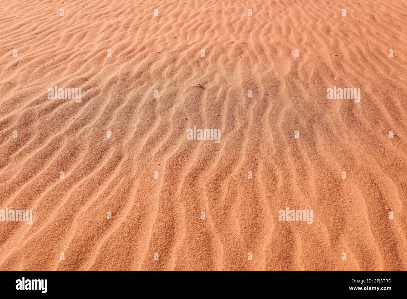 Sun shines to red desert sand, wind formed small ridges, closeup detail ...