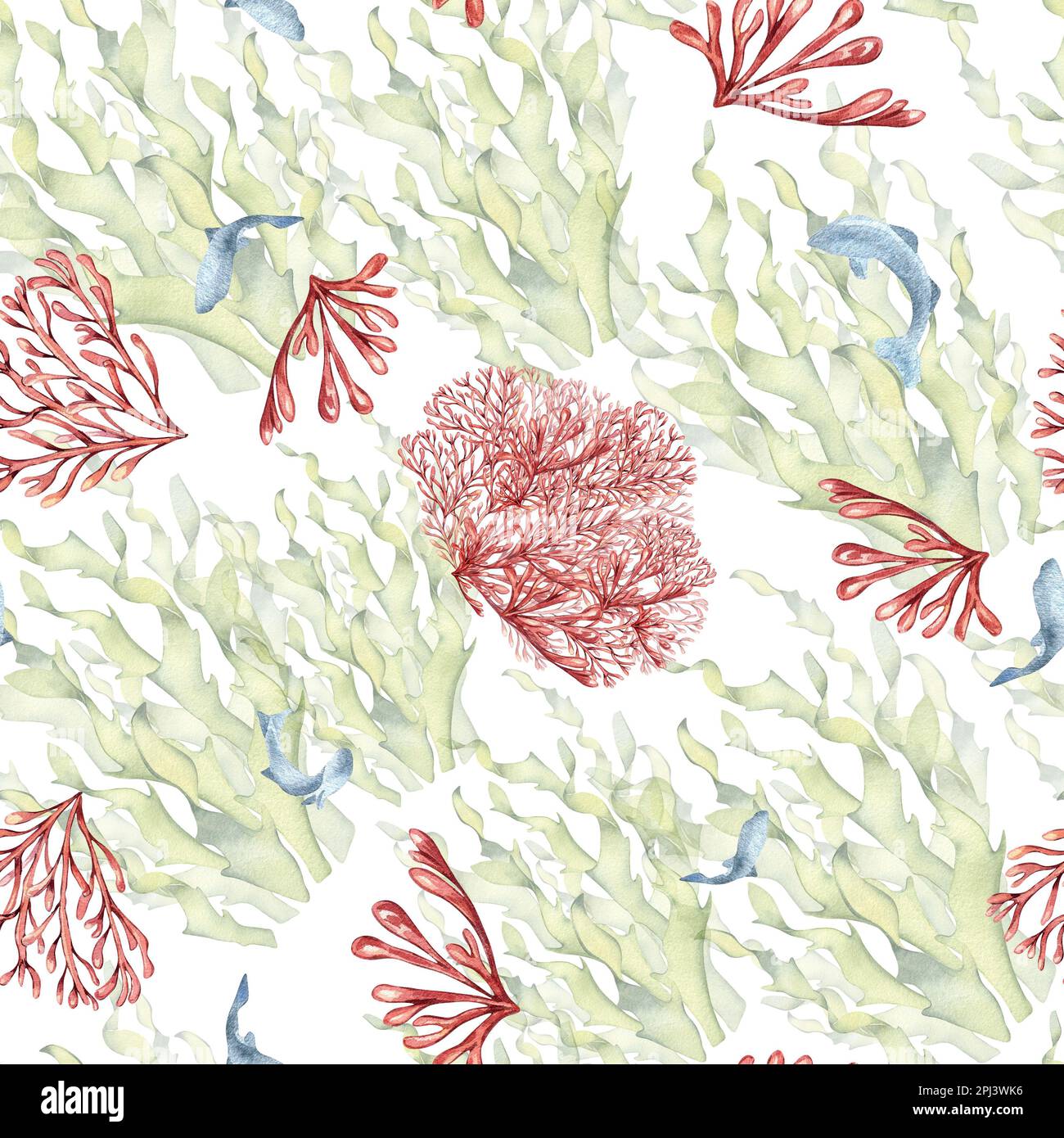 Seamless pattern of laminaria and coral watercolor isolated on white background. Pink agar agar, sea plants and fish hand drawn. Design element for pa Stock Photo