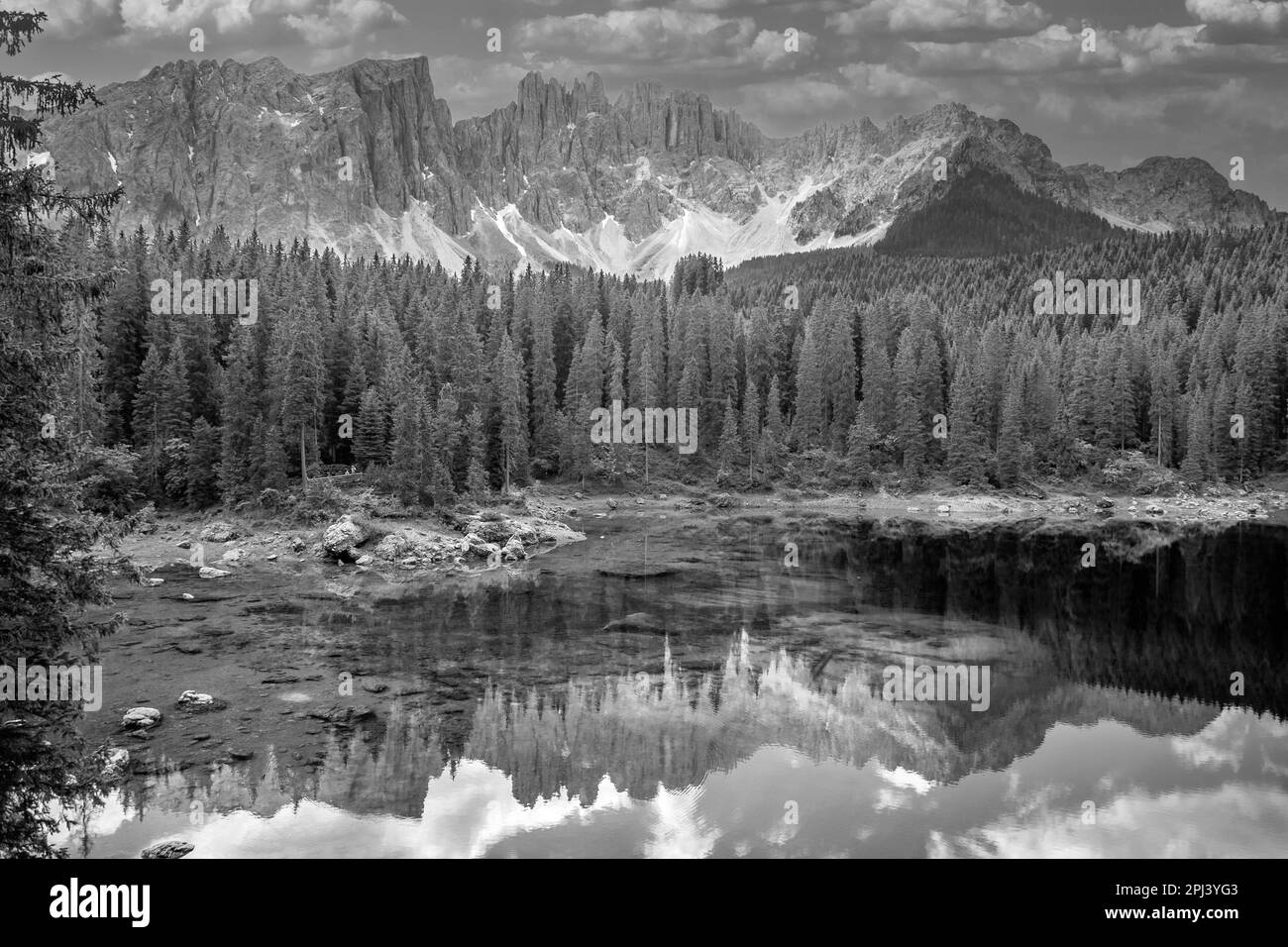 Panorama of Lake Carezza an alpine lake surrounded with tall pine
