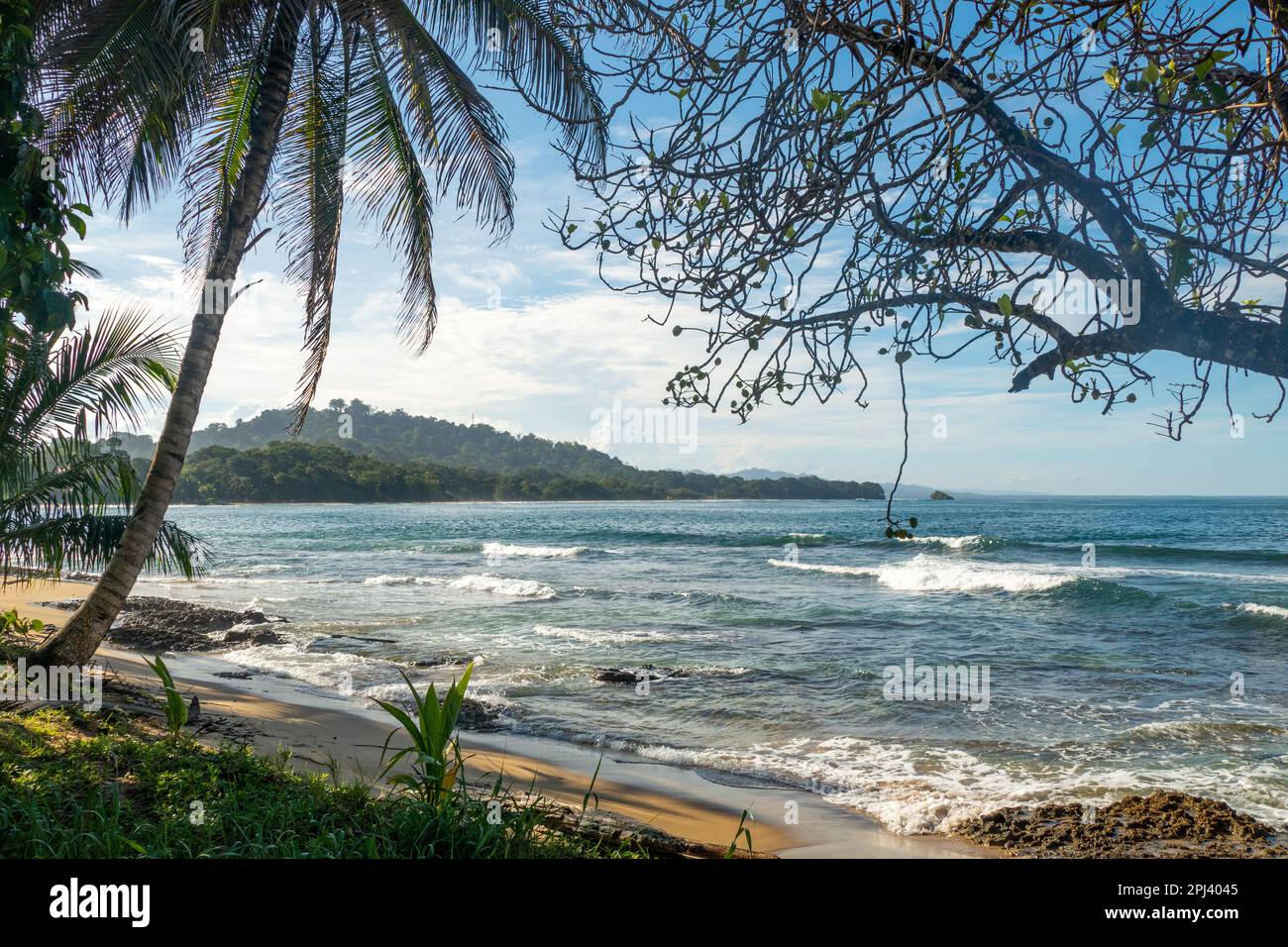 scenic  beach of Cocles on the Caribbean side of Costa Rica, Puerto Viejo de Talamanca Stock Photo