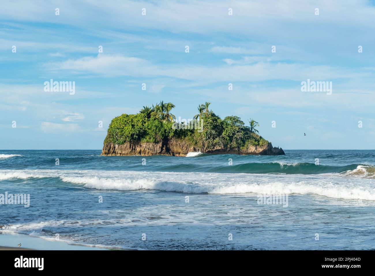 scenic beach of Cocles on the Caribbean side of Costa Rica, Puerto ...