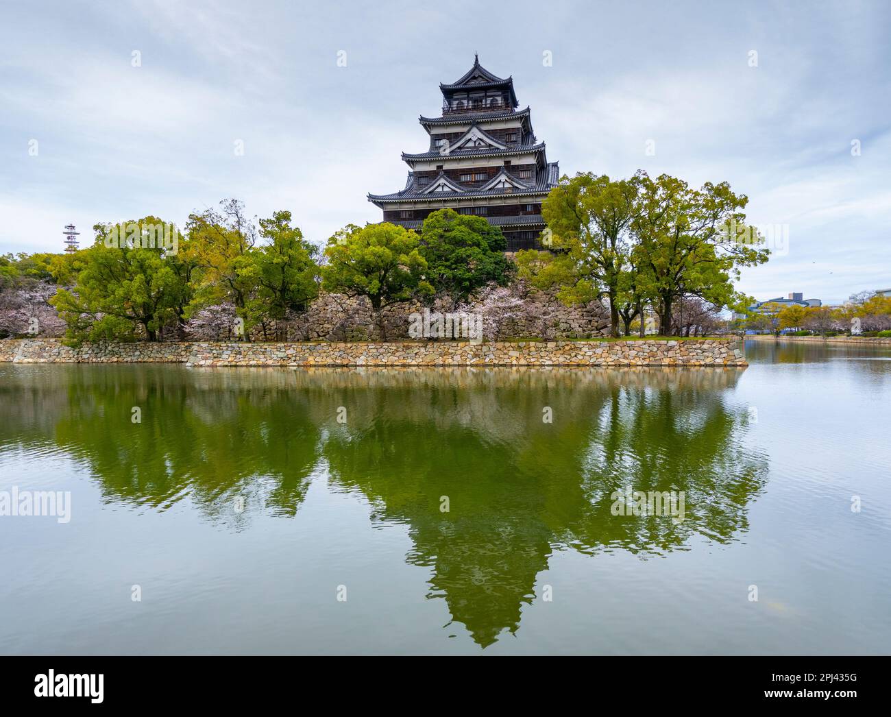Exterior view of Hiroshima Castle in cherry blossom season, Hiroshima , Japan Stock Photo