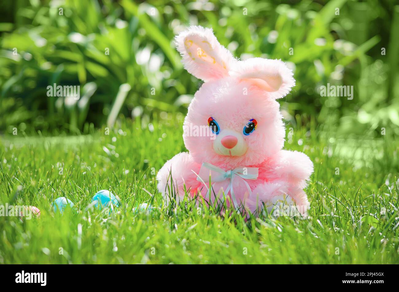Easter eggs hiding in the grass with bunny rabbit Stock Photo - Alamy