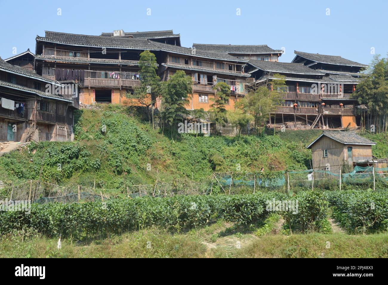 People's Republic of China, Guangxi Province, Sanjiang County, Maan