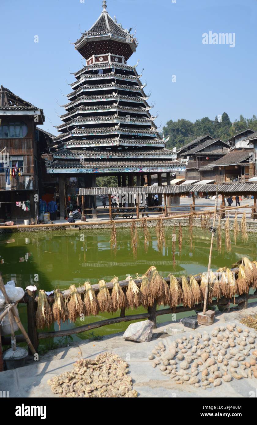 People's Republic of China, Guizhou Province,  Zhaoxing Dong Village:  the 'Drum Tower' reflected in the town pool, with rice drying in the foreground Stock Photo