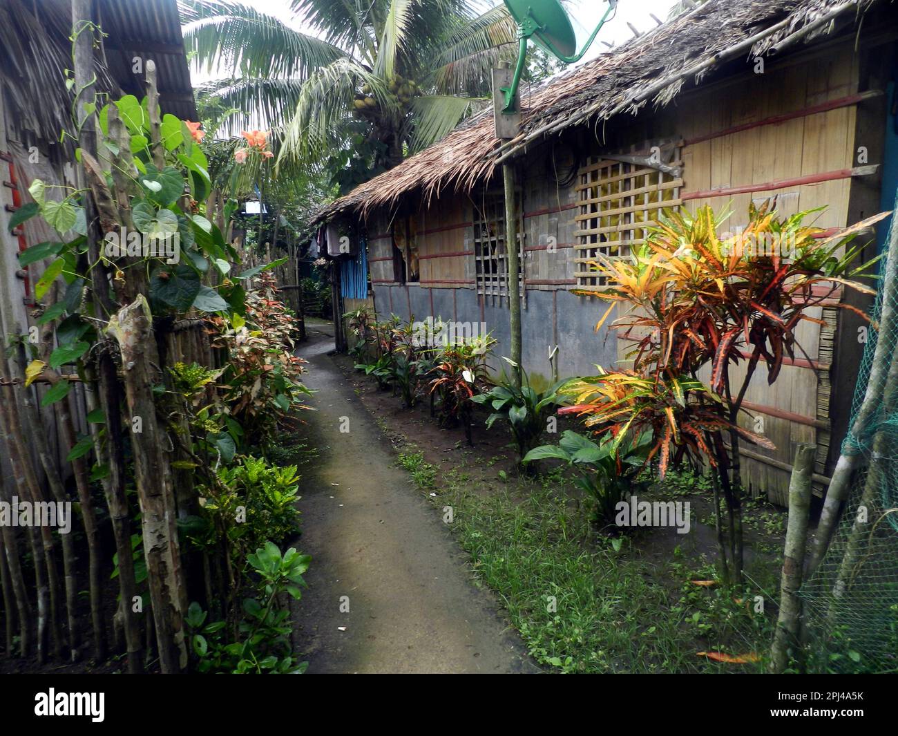 The Philippines, Samar Island a typical house, thatched with Anahaw