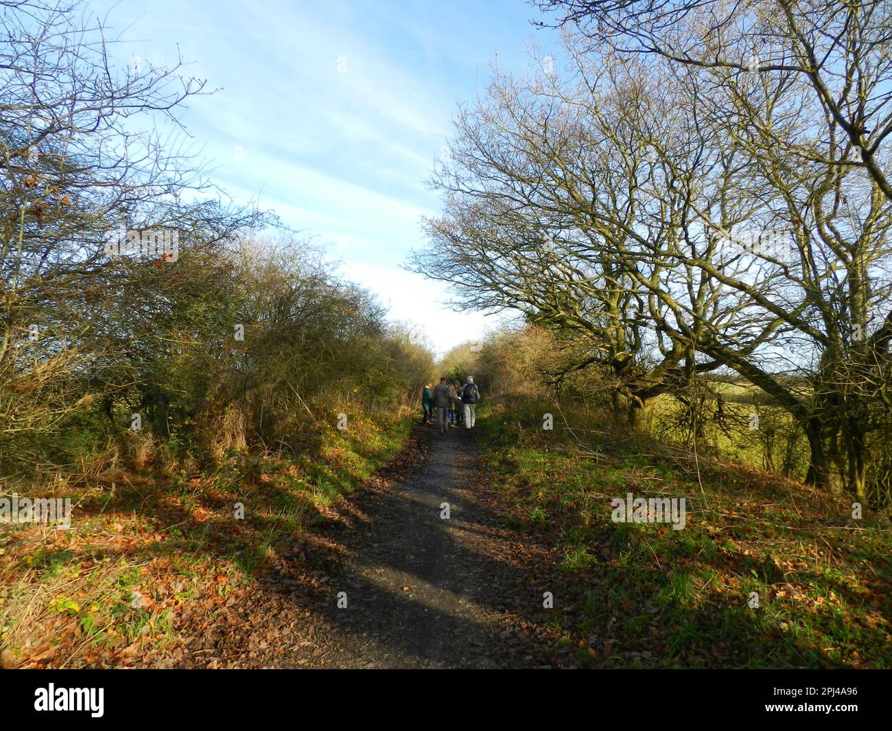 England, West Sussex, Henfield:  South Downs Link near Adur Bridge.. Stock Photo