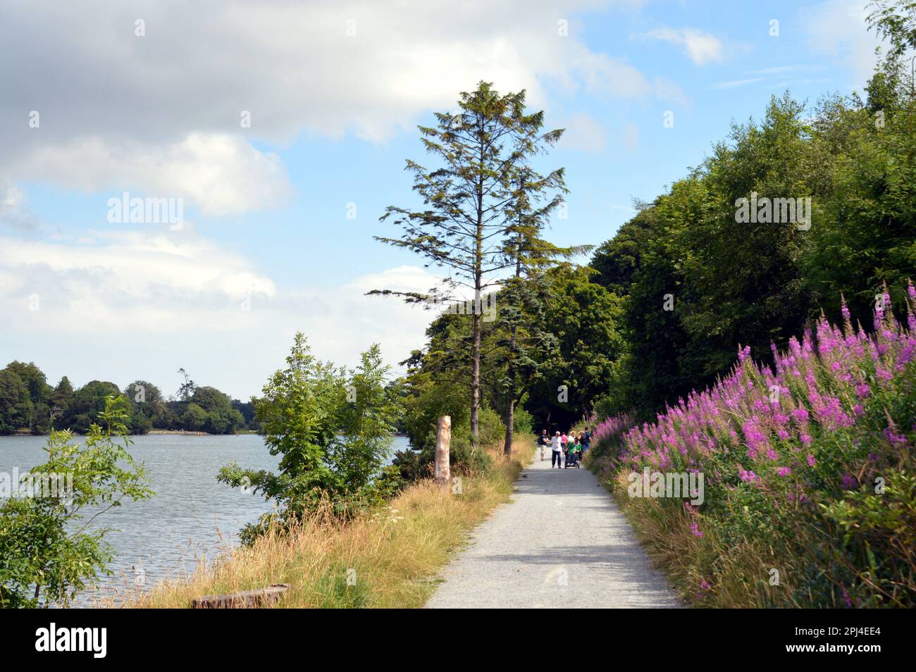 Northern Ireland, County Down, Castlewellan Forest Park:  the castle was built 1856-58 by the Annesley family and is now used as a conference centre. Stock Photo