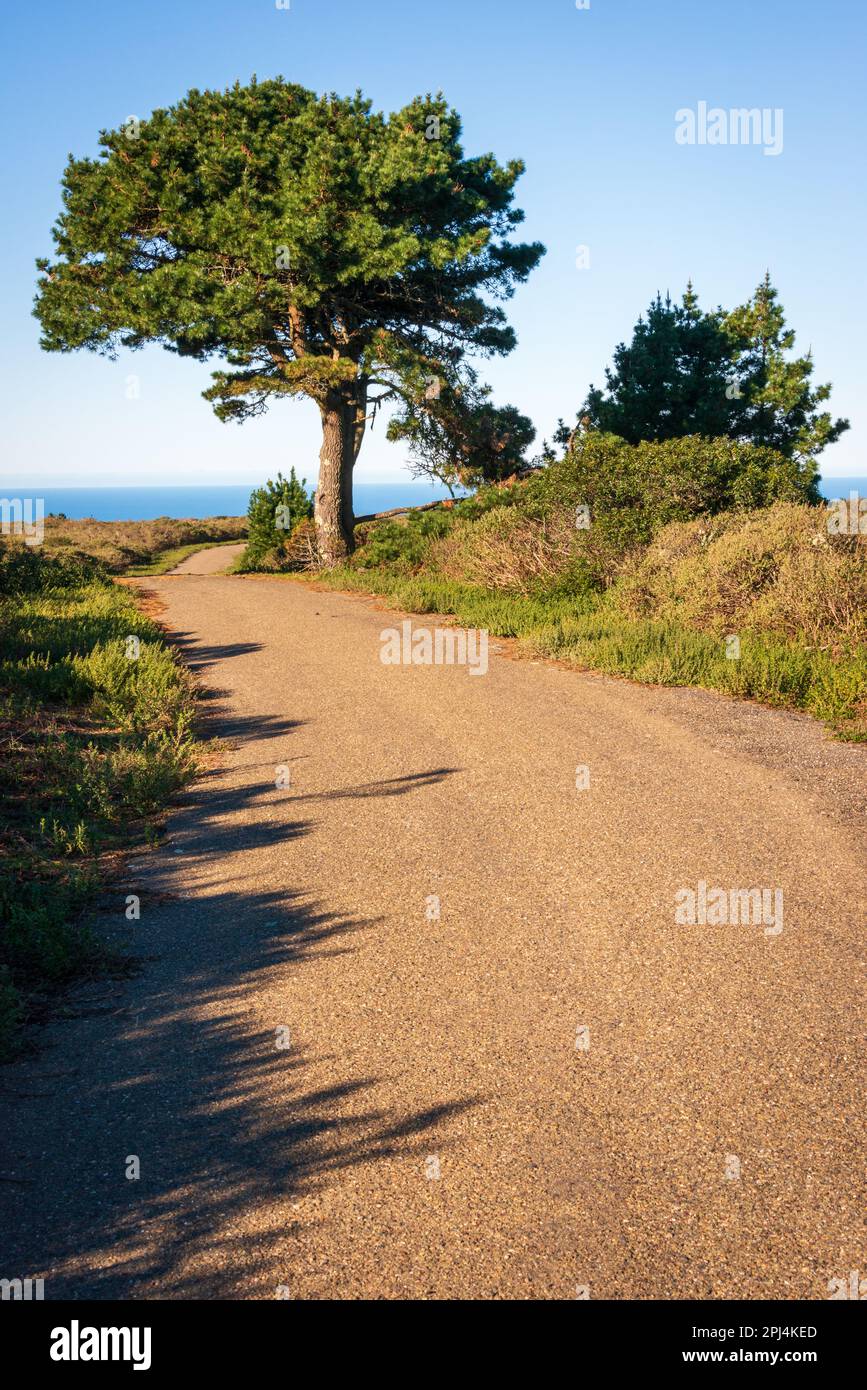 Point Reyes Drive Point reyes scenic drive hi-res stock photography and images - Alamy