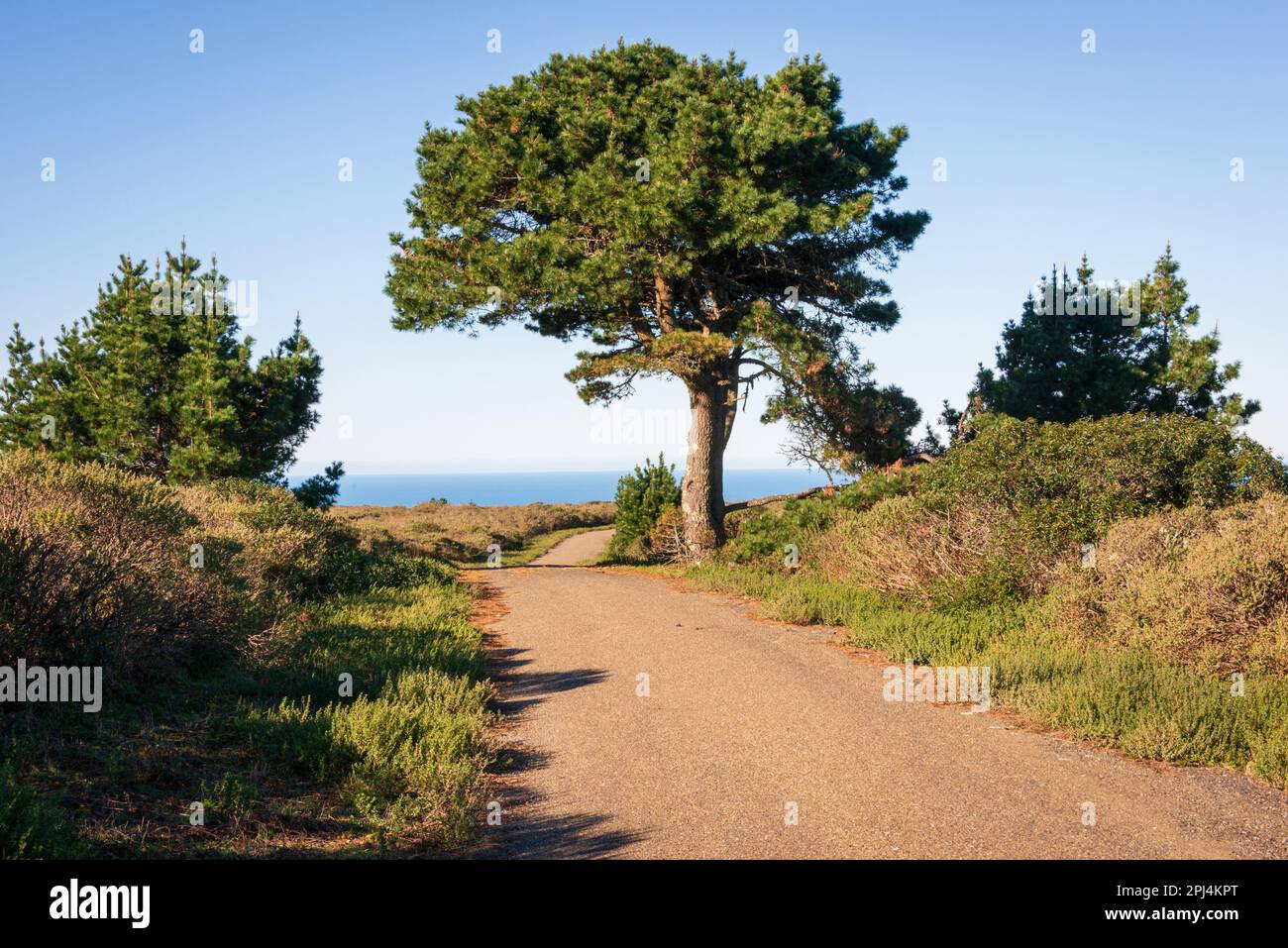 Point Reyes Drive Point reyes scenic drive hi-res stock photography and images - Alamy