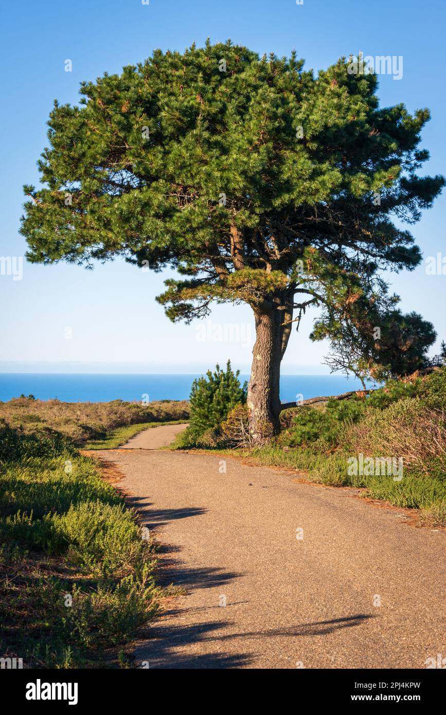 Point Reyes Drive Point reyes scenic drive hi-res stock photography and images - Alamy