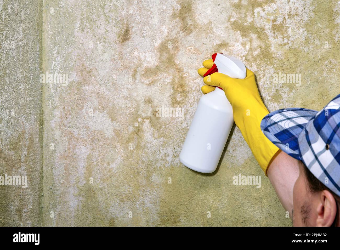 A repairman with a spray gun treats a wall with a disinfectant solution from fungus and mold