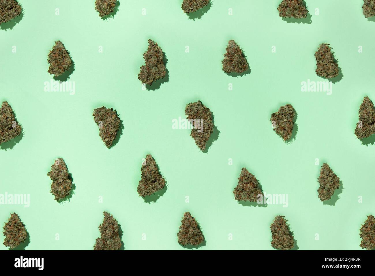 A pattern of dry buds of medical marijuana arranged in a checkerboard pattern, on a mint background. Stock Photo