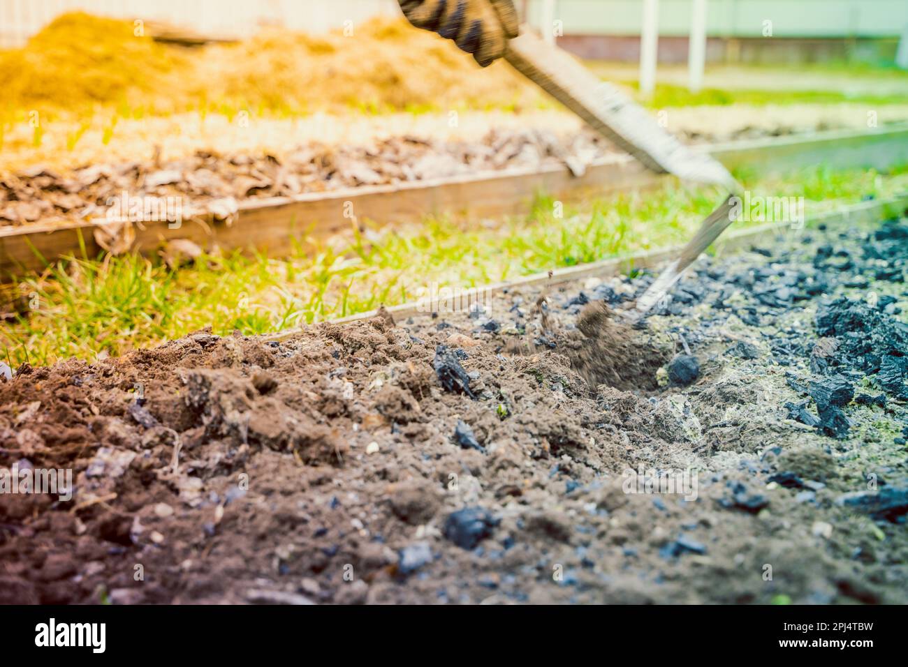 Mixing vegetable garden soil with charcoal in spring. Plowing garden beds  with a flat cutter with the addition of wood ash. Beginning of the gardening  Stock Photo - Alamy