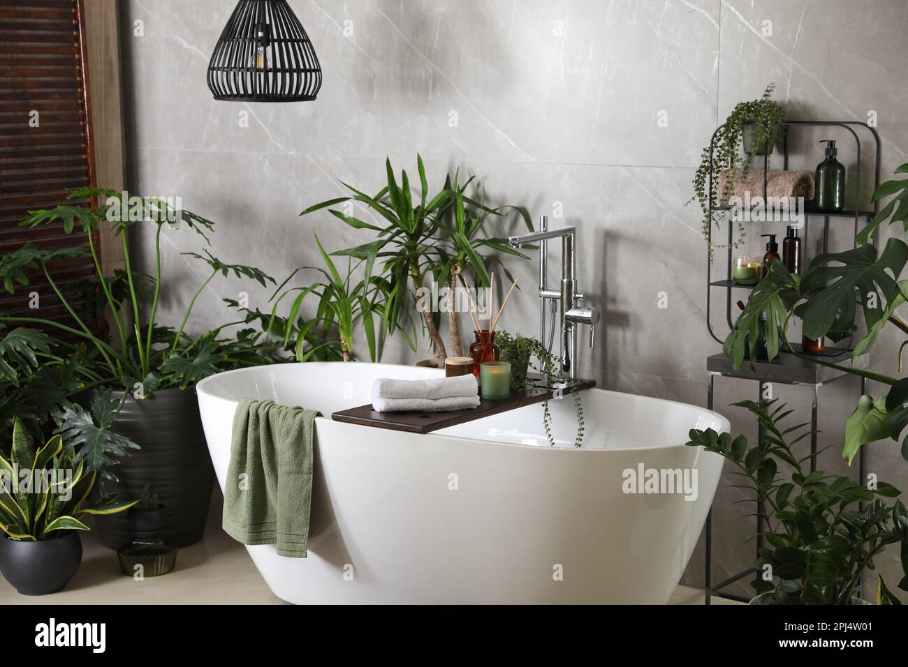 Modern white tub and beautiful green houseplants in bathroom. Interior ...