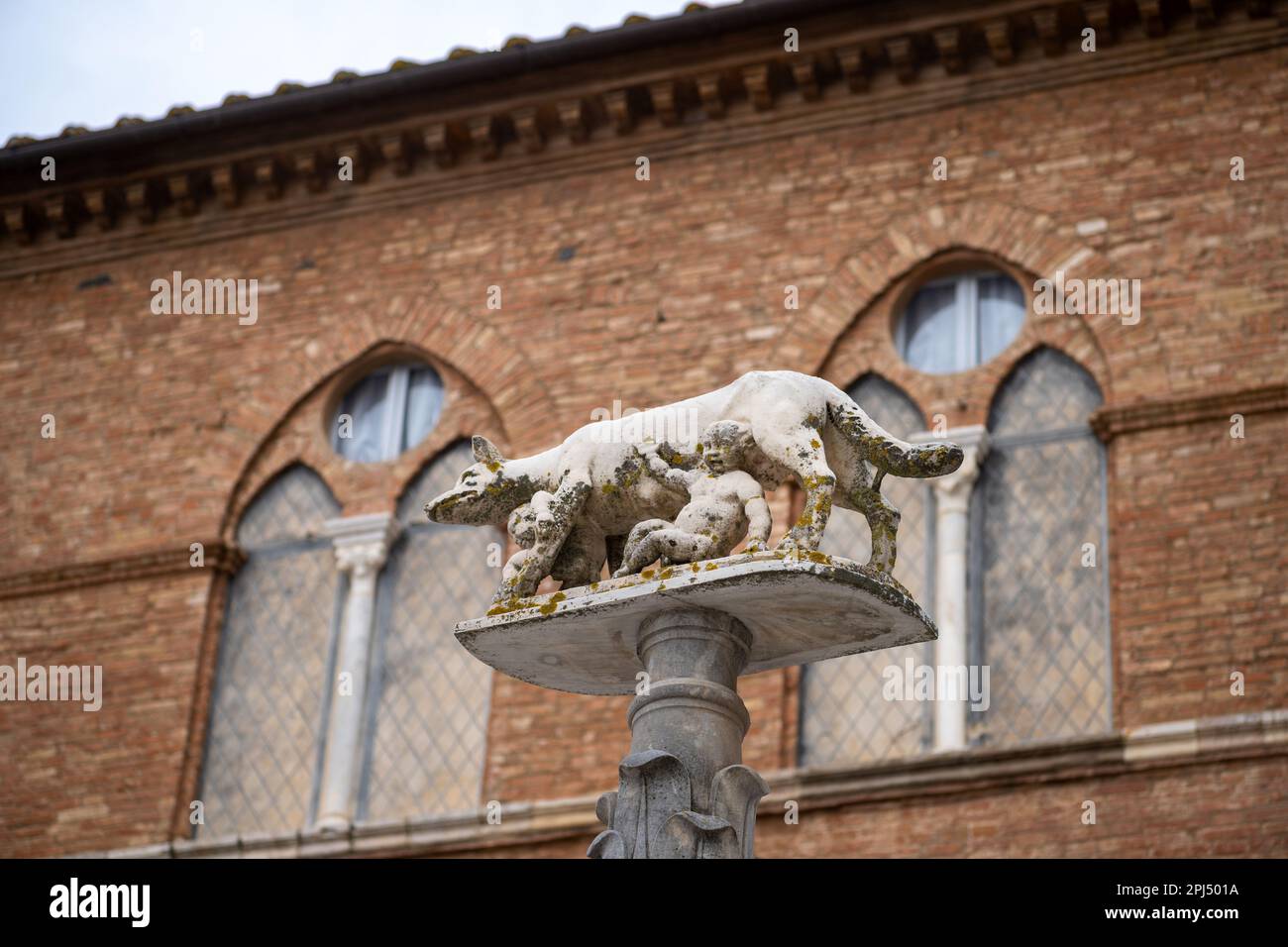 Statue of the Capitoline Wolf in Siena, Italy Stock Photo Alamy