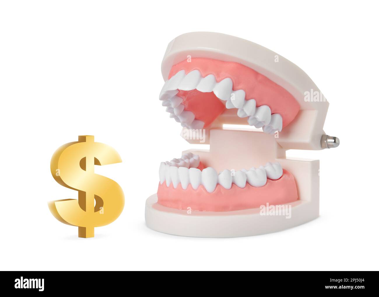 Model of tooth and golden dollar sign on white background. Concept of