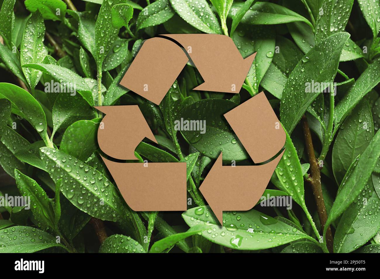 Recycling symbol cut out of kraft paper and fresh green leaves on ...