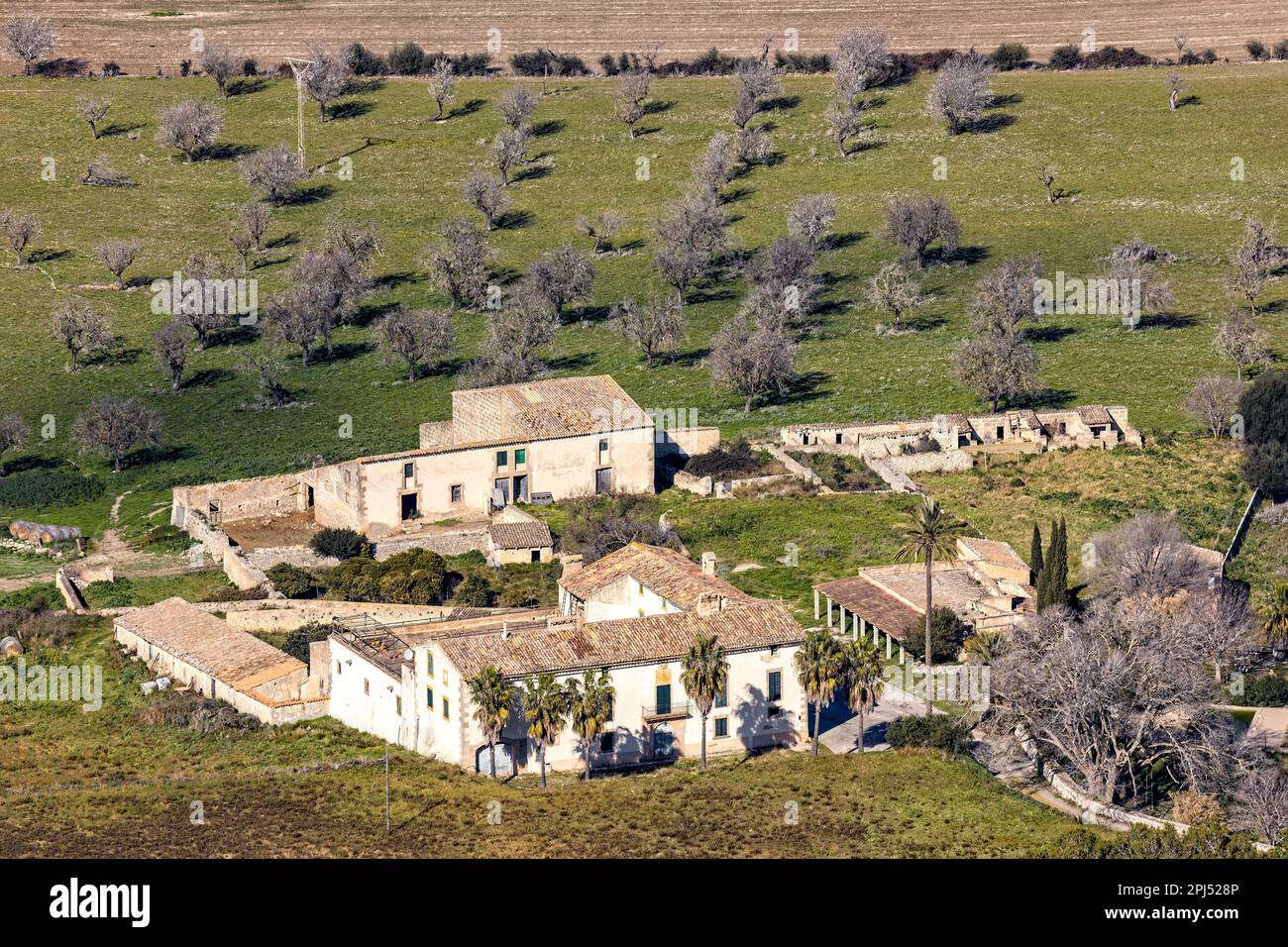 finca, rural estate near village Algaida in Majorca, Mallorca, Balearic Islands, Spain, Europe Stock Photo