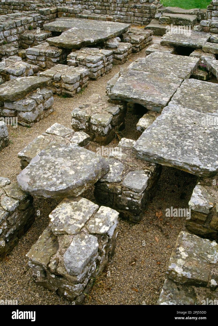 Commandant's House, Chesters Roman Fort, Hadrian's Wall. Stone floor raised on pillars to allow hot air to circulate. Early underfloor heating. Stock Photo