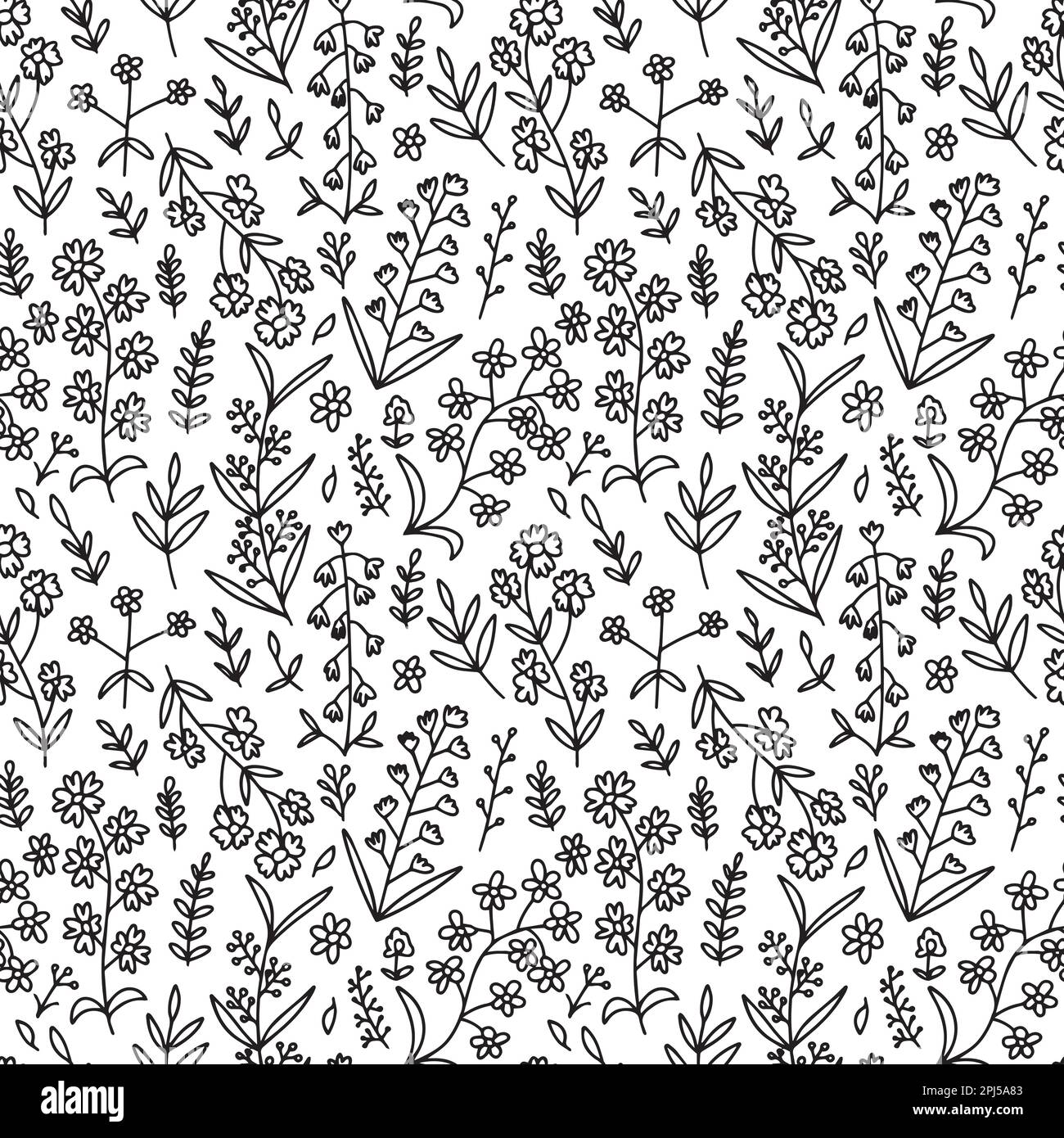 Background different summer flowers Black and White Stock Photos ...
