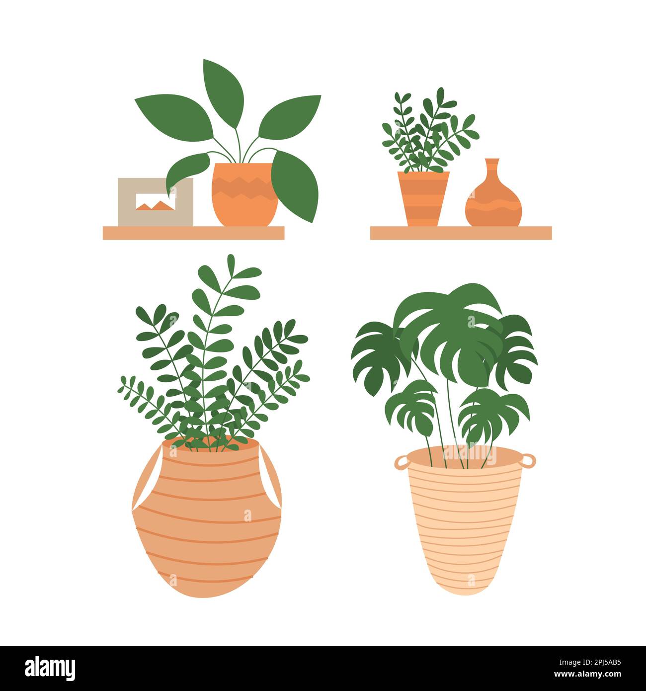 Vector set of houseplants flat style illustration Stock Vector Image ...